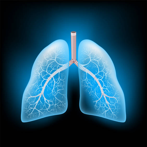 About ChestVision